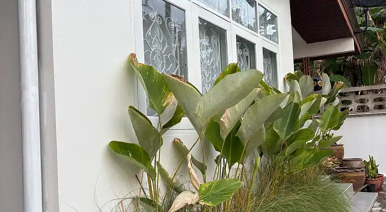 3BR Family Villa - 1 km to Chalong Pier with WiFi