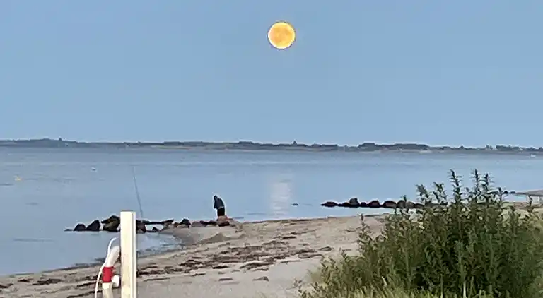 Lækkert sommerhus ved Hasmark Strand