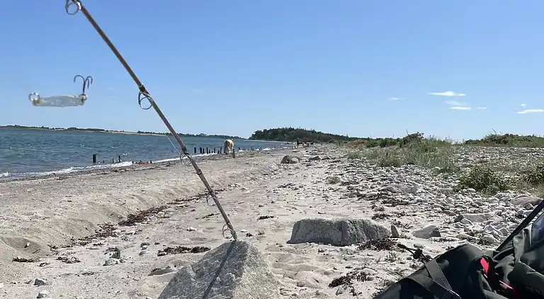 Lækkert sommerhus ved Hasmark Strand
