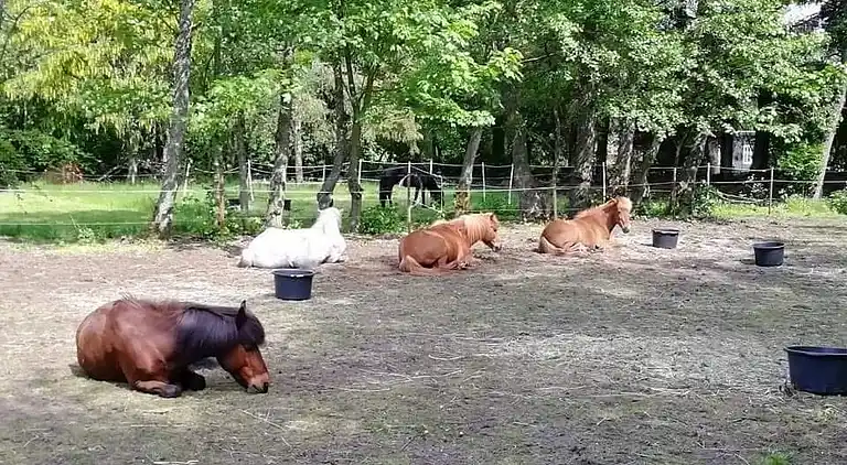 Ferienhaus in Nørre Nebel
