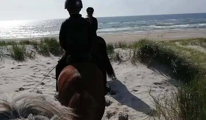 Ferienhaus in Nørre Nebel