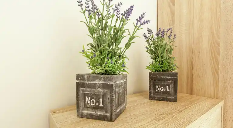 Villa in Middelkerke