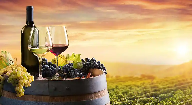 Doctor's Lounge — Ein Haus für Führungskräfte in Niagara