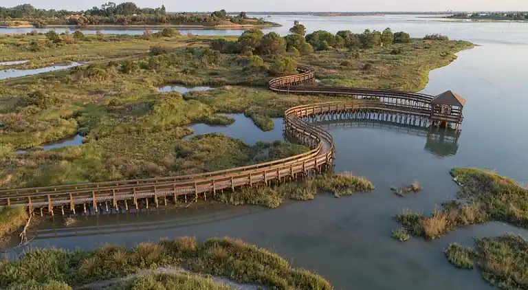 Cozy apartment with garden and pool
