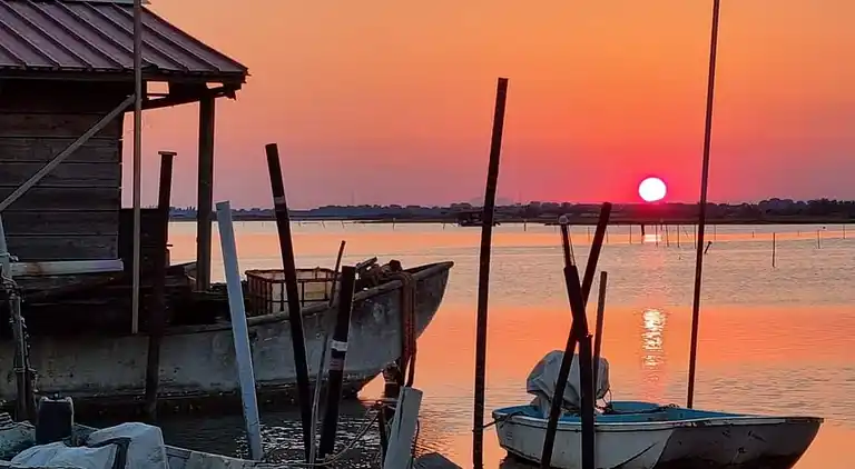Cozy apartment with garden and pool