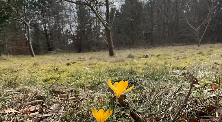 Gemütliches Haus nahe Natur, Stadt und Strand