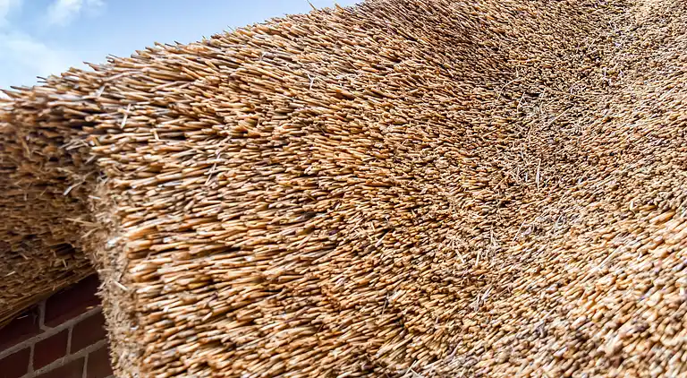 Ferienhaus in Ulfborg