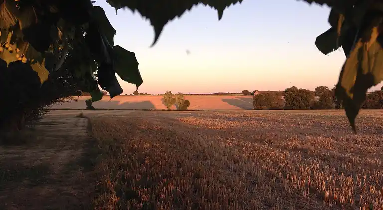 La Richardière - Le Martinet