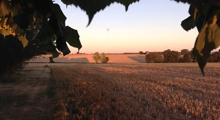 Gites de La Richardière - Die Taube