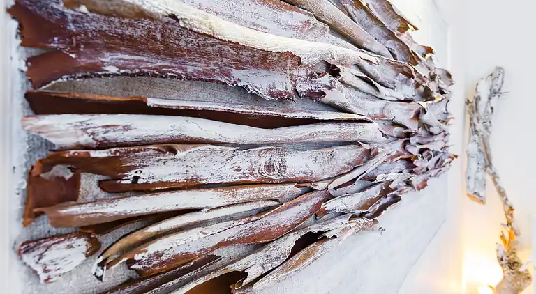 Casa Ripetta Luxury Home