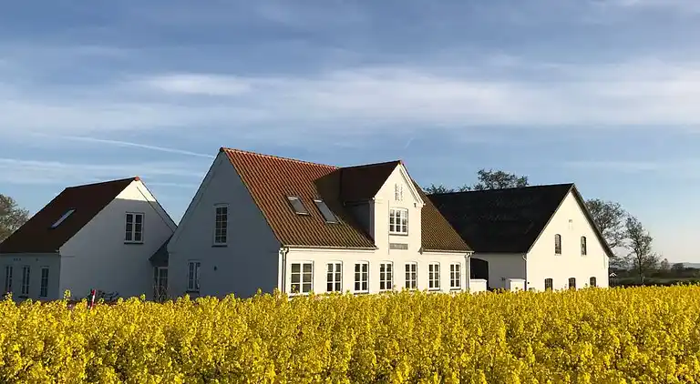 Feriebolig på Sør-Fyn for 18 personer