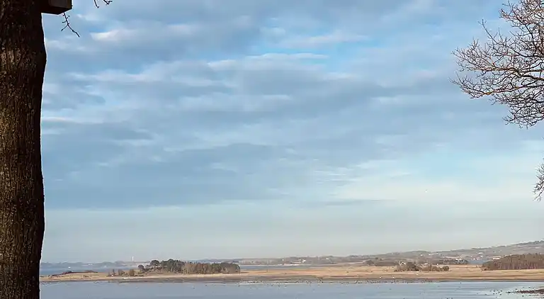 Ferienidylle bei Dejret Klit – Wildnisbad