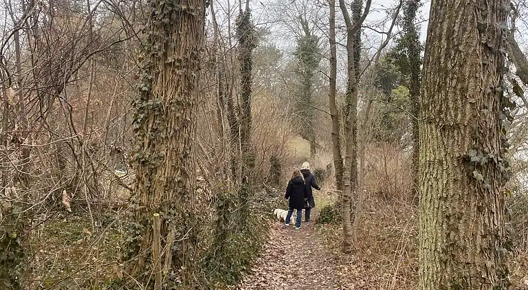 Ferienidylle bei Dejret Klit – Wildnisbad