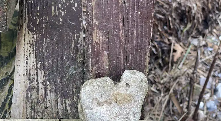 Ferienidylle bei Dejret Klit – Wildnisbad