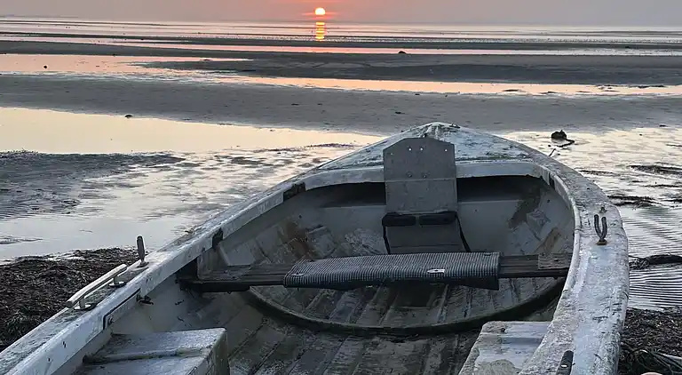 Stort sommerhus tæt på strand og natur