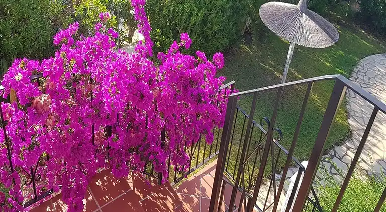 Vakantiehuis in Jávea