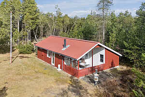 Oplev roen – sommerhus nær hav og skov