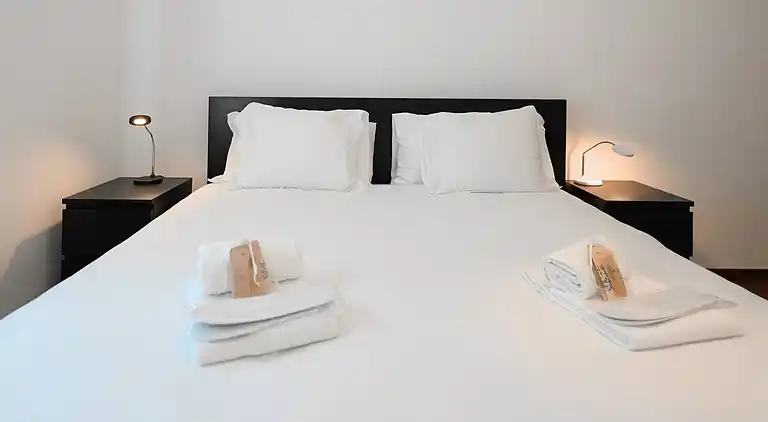 Lakeview 3 Bedroom Pico penthouse in Lugano