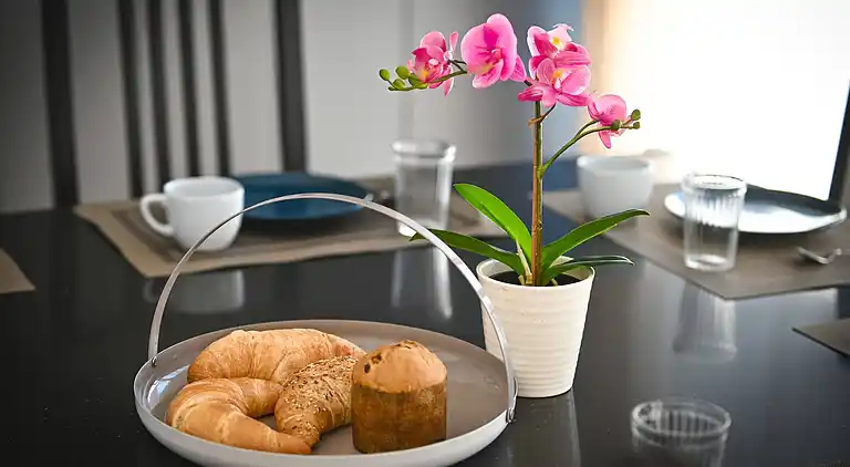 Lakeview 3 Bedroom Pico penthouse in Lugano