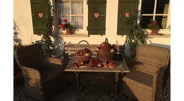 Ferienhaus in Sedlhof