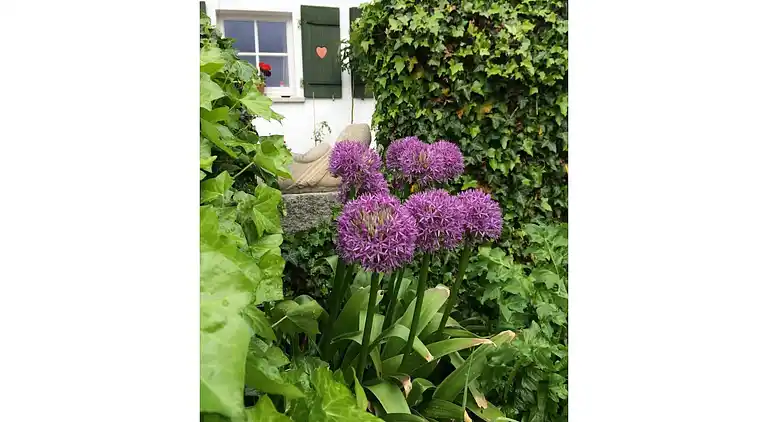 Ferienhaus in Sedlhof