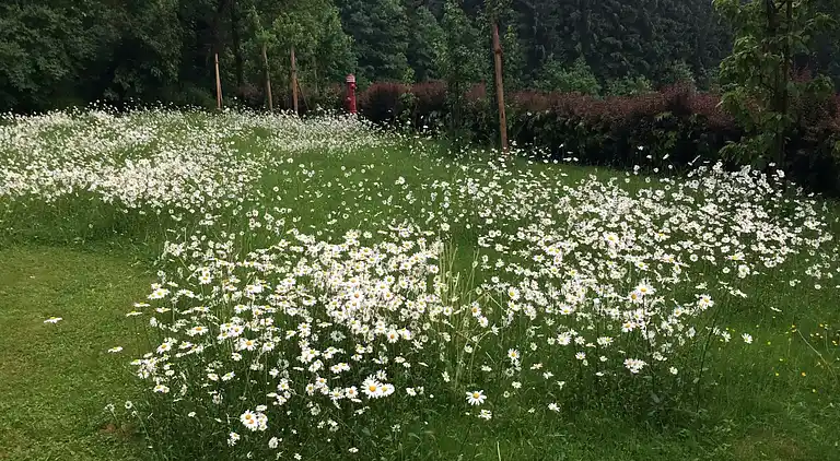 Ferienhaus in Sedlhof