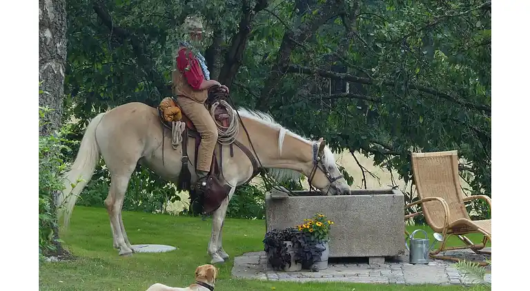 Ferienhaus in Sedlhof