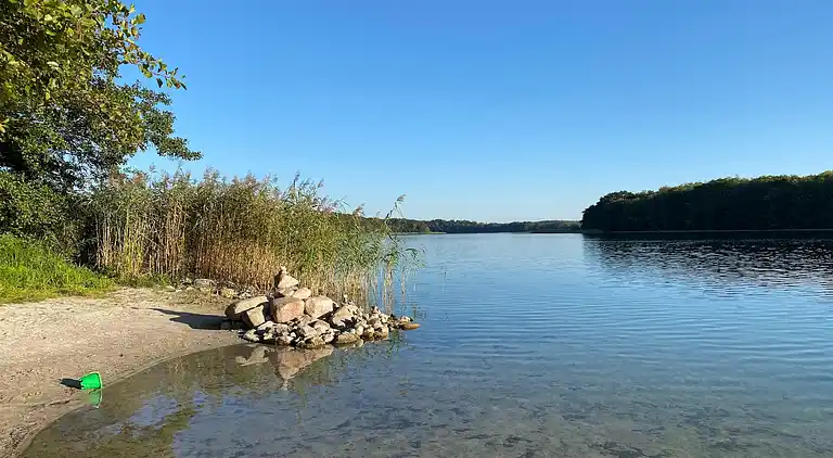 Apartment in Feldberg