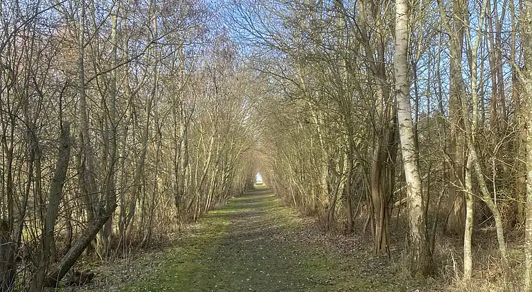 Gemütliches Ferienhaus in Strandnähe für Familien