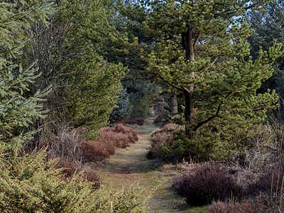 Bredvandet 11