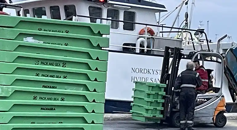 Charmantes Ferienhaus in der Stadt am Strand