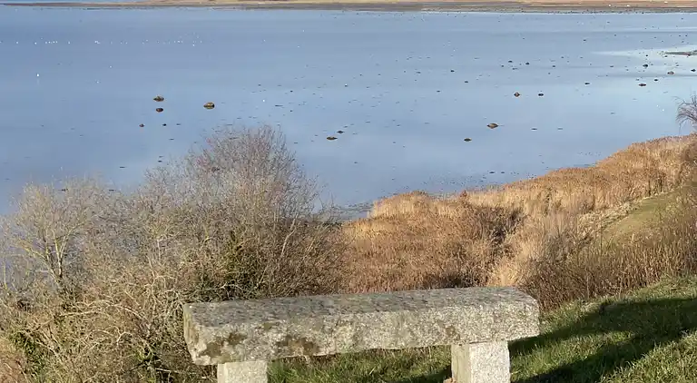 Ferienidylle bei Dejret Klit – Wildnisbad