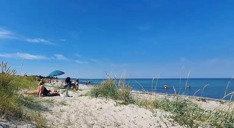 Ferienhaus mit Pool, Spa und großer Terrasse