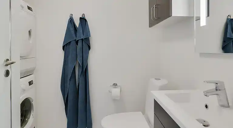 Geräumiges Ferienhaus mit Pool bei Møns Klint