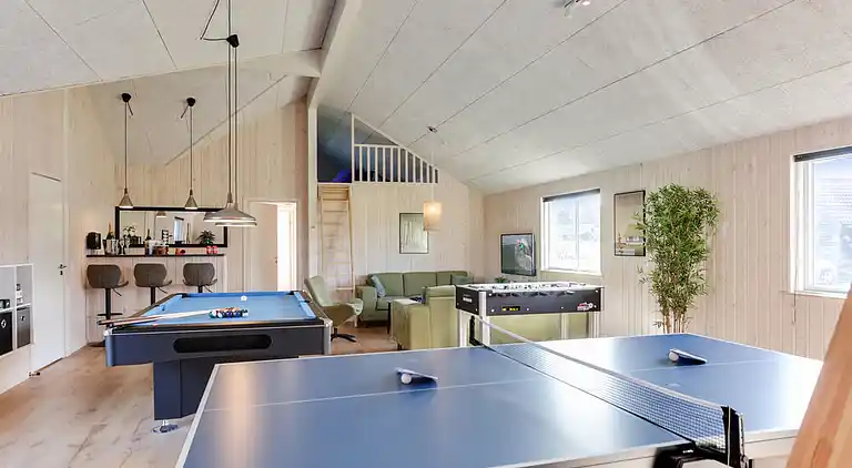 Ferienhaus für 24 auf Møn mit Pool & Spa