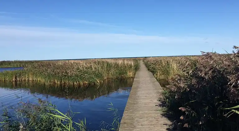 Luxus-Sommerhaus in Højby, Pool & Spa