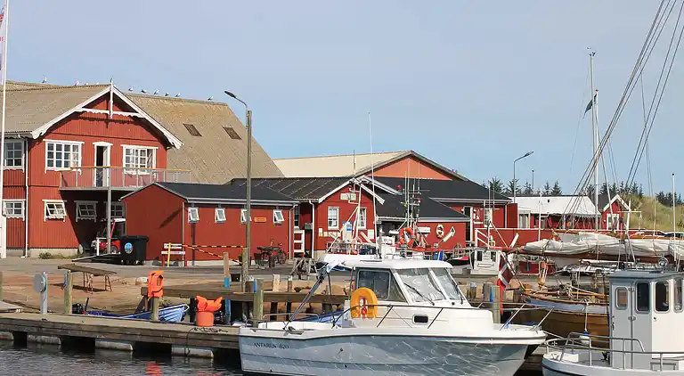 Luxus-Ferienhaus Ålbæk – Pool & Heimkino