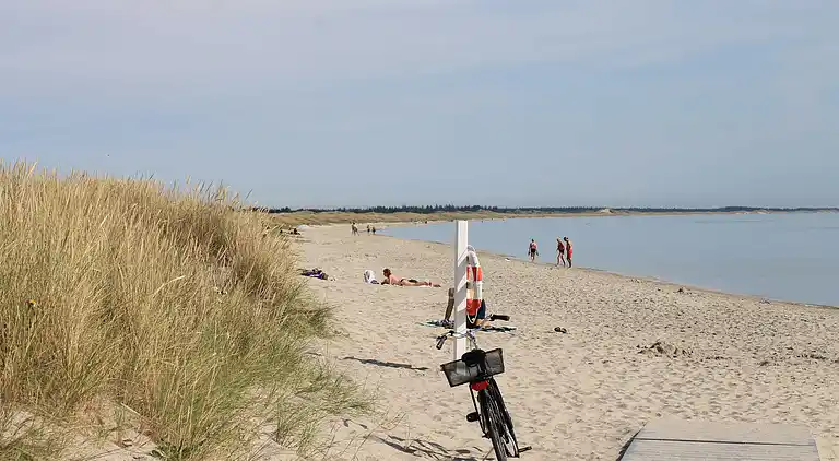 Luxus-Ferienhaus Ålbæk – Pool & Heimkino