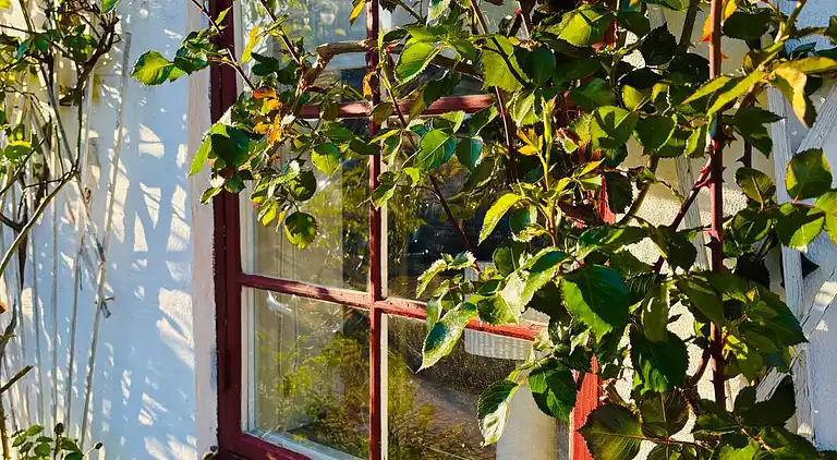 Bryggargården flexible family living by the sea