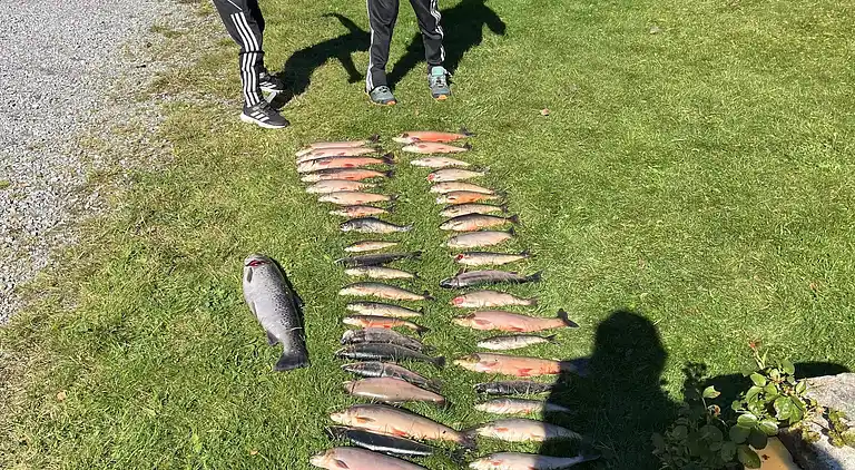 Sommerhus i Tingvoll