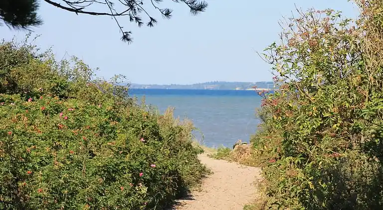 Poolhaus am Strand von Sydals mit Spa & Spiel