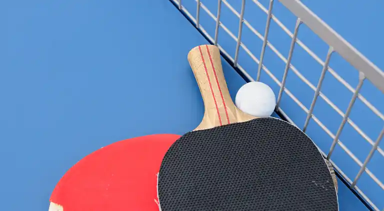 Maison avec parc aquatique, spa & salle de jeux