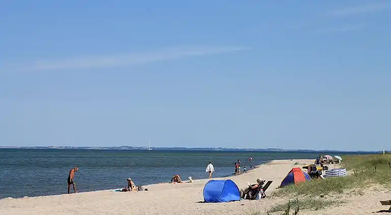Maison avec parc aquatique, spa & salle de jeux