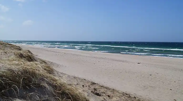 Luxus-Ferienhaus mit Pool bei Tisvildeleje