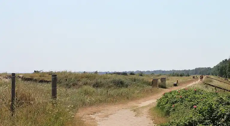 Sommarhus med vattenpark, spa och aktivitetsrum