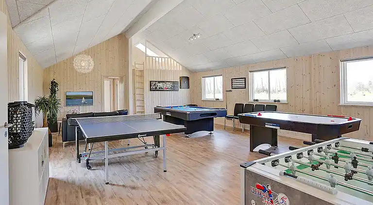 Vacation home: waterpark, activity room & terrace