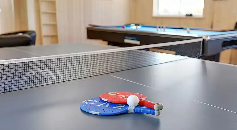 Vacation home: waterpark, activity room & terrace