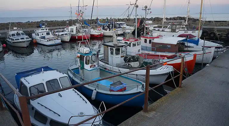 Ferienhaus bei Dueodde mit Pool für 20