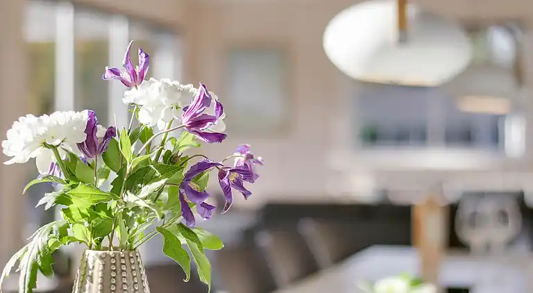 Sommarhus i Asserbo med pool och aktivitetsrum