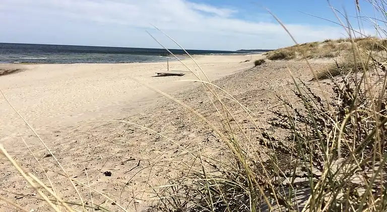 Sommarhus i Asserbo med pool och aktivitetsrum